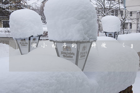 做小程序的軟件(做個(gè)微信小程序)