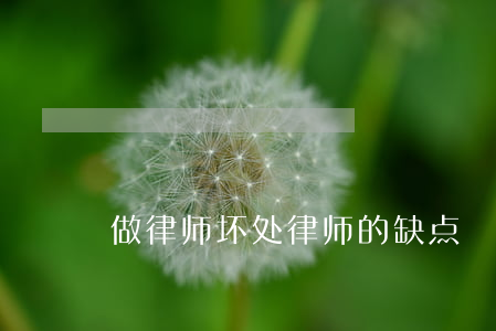 做律师坏处(律师的缺点)