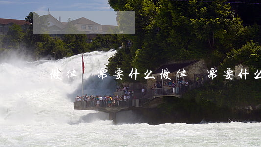 做律師需要什么(做律師需要什么證)
