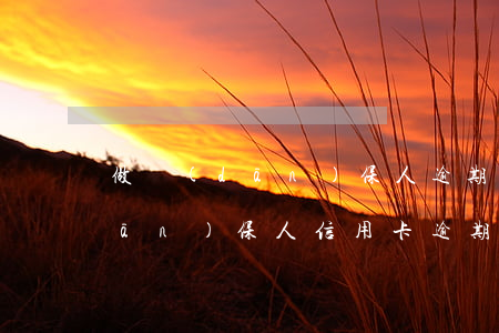 做擔(dān)保人逾期有什么后果（擔(dān)保人信用卡逾期有什么影響）