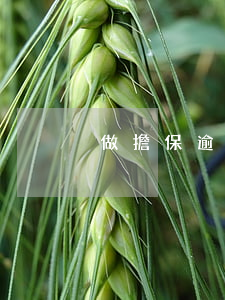 做擔保逾期凍結支付寶嗎