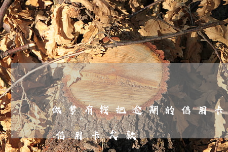 做梦有钱把逾期的信用卡都还上了-梦见还信用卡欠款