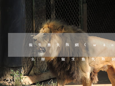 做生意失敗網(wǎng)貸欠了26萬怎么辦-做生意失敗網(wǎng)貸欠了26萬怎么辦理