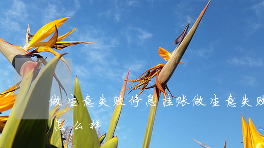 做生意失败停息挂账(做生意失败停息挂账会怎么样)