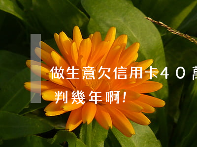 做生意欠信用卡40萬 我欠信用卡40萬得判幾年啊!
