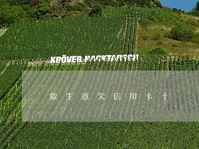 做生意欠信用卡十幾萬(做生意信用卡欠30萬)