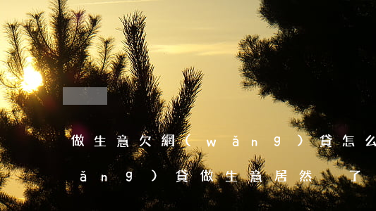做生意欠網(wǎng)貸怎么還(借網(wǎng)貸做生意居然掙了)