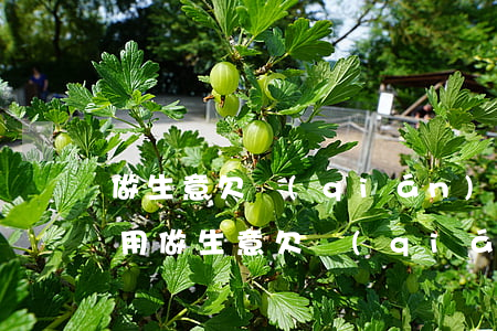 做生意欠錢(qián)起訴費(fèi)用(做生意欠錢(qián)起訴費(fèi)用多少錢(qián))