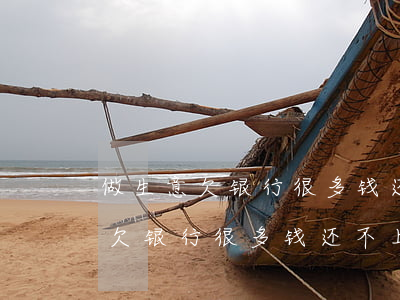 做生意欠银行很多钱还不上怎么办-做生意欠银行很多钱还不上怎么办呢