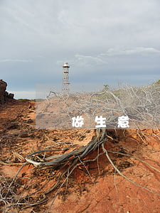 做生意虧了欠信用卡50萬