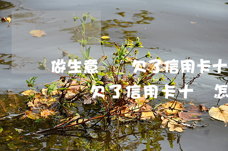 做生意賠錢欠了信用卡十萬怎么辦-做生意賠錢欠了信用卡十萬怎么辦呢