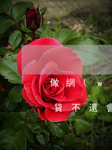 做網(wǎng)貸不還，做網(wǎng)貸不還會(huì)被起訴嗎