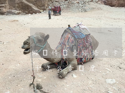 做裝修貸查你信用卡欠多少錢嗎(裝修貸信用卡怎么查額度)