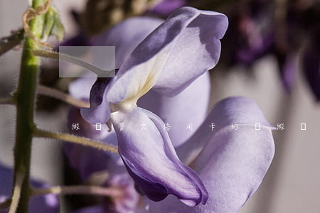 做試管欠信用卡的錢(做試管欠信用卡的錢)