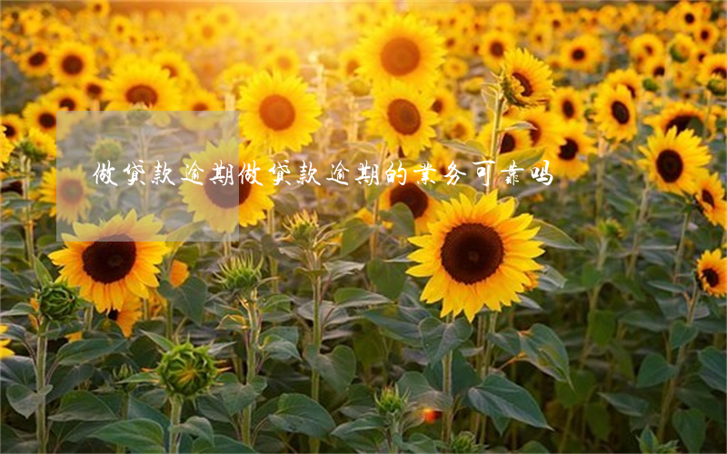 做贷款逾期，做贷款逾期的业务可靠吗