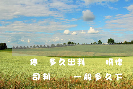 停審多久出判決書呀律師有小道消息嗎(打官司判決書一般多久下來(lái))