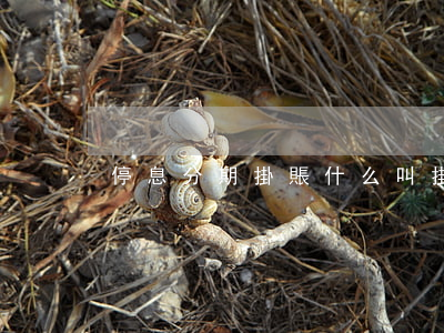 停息分期掛賬(什么叫掛賬停息)