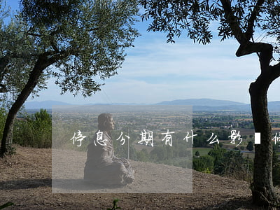 停息分期有什么影響(停息分期有什么影響嗎)