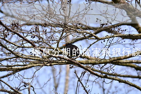 停息分期的危害(跟銀行談停息分期)