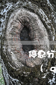 停息分期跟免息分期 停息分期跟免息分期哪個(gè)劃算