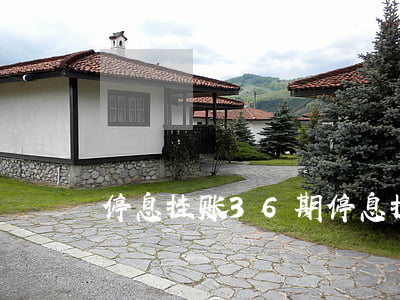 停息挂账36期(停息挂账60期)