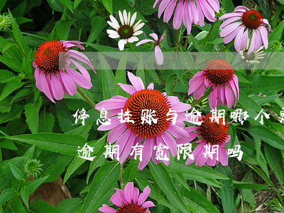 停息挂账与逾期哪个更严重 停息挂账后再次逾期有宽限期吗