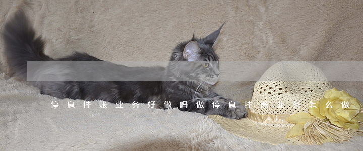 停息挂账业务好做吗（做停息挂账业务怎么做）