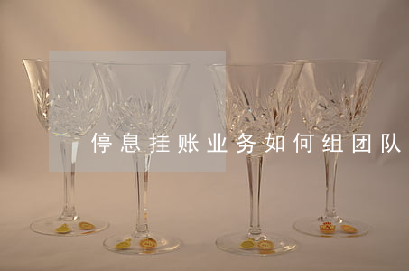 停息挂账业务如何组团队(什么叫挂账停息)