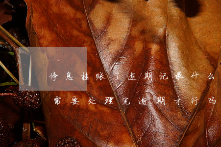 停息挂账了逾期记录什么时候消除(挂帐停息需要处理完逾期才行吗)