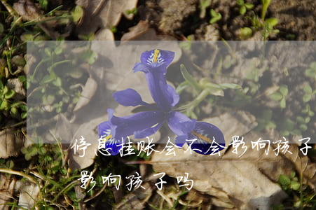 停息挂账会不会影响孩子上学-停息挂账会影响孩子吗