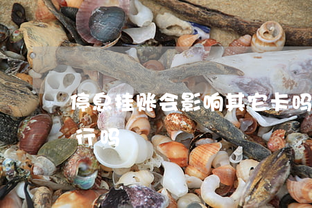 停息挂账会影响其它卡吗(停息挂账会影响出行吗)