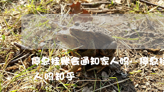 停息挂账会通知家人吗-停息挂账会通知家人吗知乎