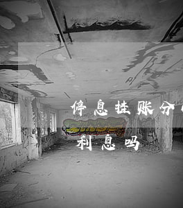停息挂账分60期-停息挂账分60期包含利息吗