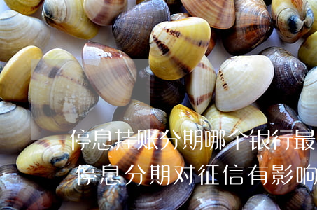 停息挂账分期哪个银行最不好弄(停息挂账和停息分期对征信有影响吗)