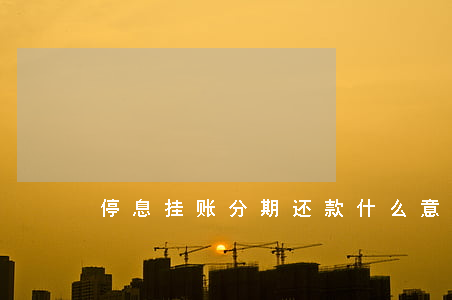 停息挂账分期还款什么意思(分期挂账啥意思)