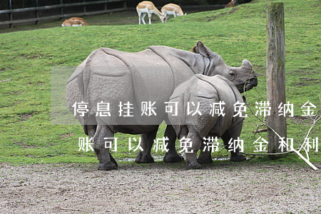 停息挂账可以减免滞纳金和利息吗-停息挂账可以减免滞纳金和利息吗