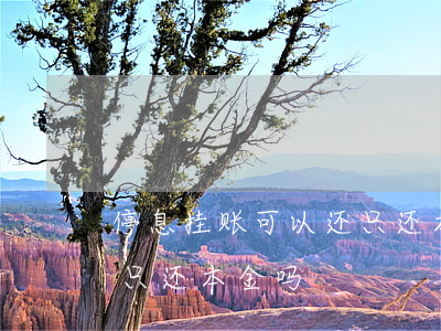 停息挂账可以还只还本金吗(停息挂账可以还只还本金吗)