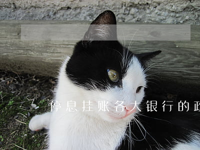 停息挂账各大银行的政策(银行停息挂账条件)