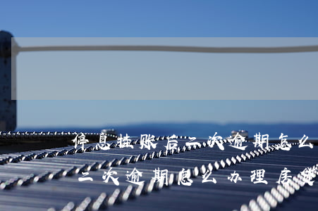 停息挂账后二次逾期怎么办理-停息挂账后二次逾期怎么办理房贷