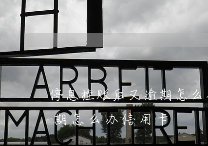停息挂账后又逾期怎么办-停息挂账后又逾期怎么办信用卡