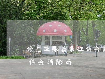 停息挂账后果征信会黑么(停息挂账还完后征信会消除吗)