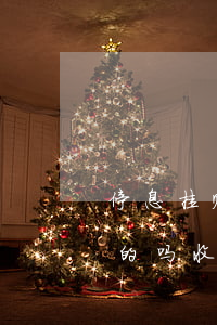 停息挂账团队是真的吗-停息挂账团队是真的吗收费标准