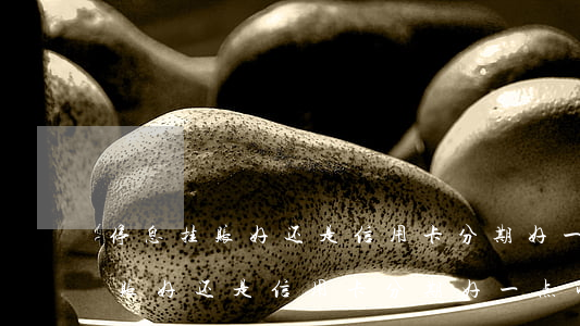停息挂账好还是信用卡分期好一点-停息挂账好还是信用卡分期好一点呢