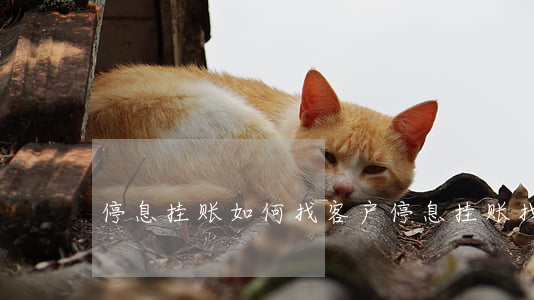 停息挂账如何找客户(停息挂账找谁申请)