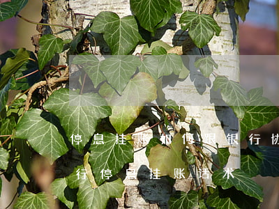 停息挂账如何跟银行协商还款浦发-浦发银行停息挂账话术