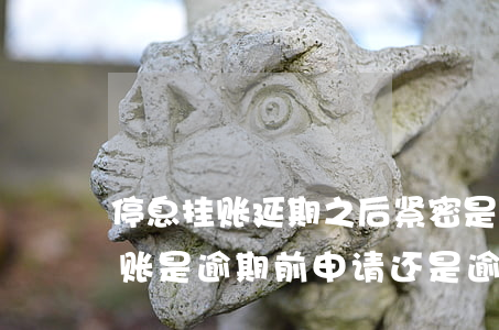 停息挂账延期之后紧密是什么意思-停息挂账是逾期前申请还是逾期后申请