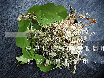 停息挂账影响其他信用卡得使用吗-停息挂账影响其他信用卡得使用吗知乎