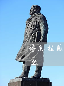停息挂账影响出境吗(停息挂账了还能坐飞机么)