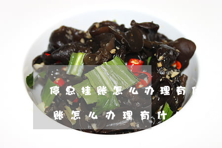 停息挂账怎么办理,有什么注意事项-停息挂账怎么办理,有什么注意事项吗