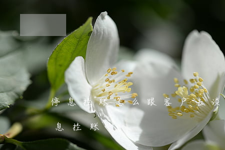 停息挂账怎么跟客户去谈(怎样让银行同意停息挂账)